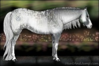 Horse Color:Silver Blue Onyx Chinchilla Ice  and Silver Blue Onyx Chinchilla Ice 