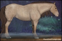 Horse Color:Classic Champagne Roan  Brindle