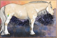 Horse Color:Silver Bay Pearl Splash and Silver Bay Pearl Splash