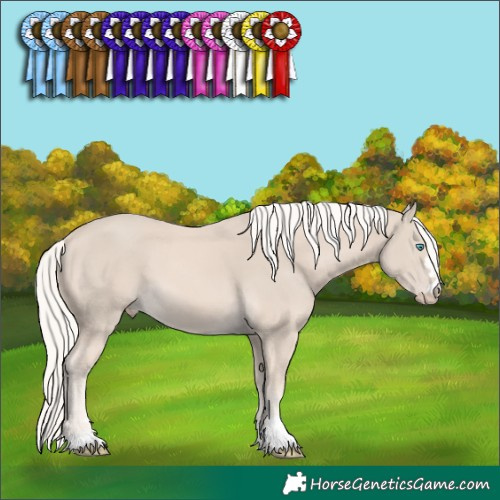 Horse Color:Cremello Mushroom 