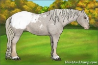Horse Color:Chestnut Mushroom Snowcap