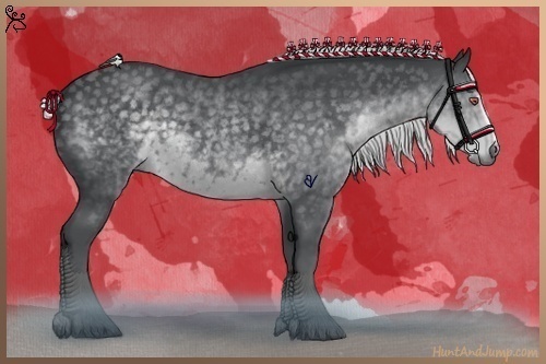 Horse Color:White Spotted Silver Black Chinchilla 