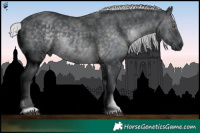 Horse Color:White Spotted Silver Black Chinchilla Tobiano 
