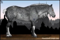 Horse Color:White Spotted Silver Black Chinchilla Tobiano 