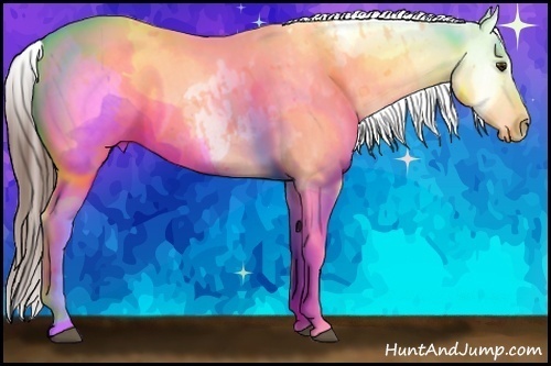 Horse Color:White Spotted Liver Red Dun Frame Appaloosa 