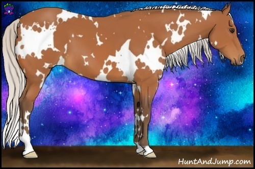 Horse Color:White Spotted Silver Bay 