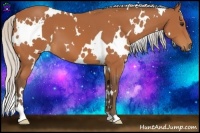 Horse Color:White Spotted Silver Bay 