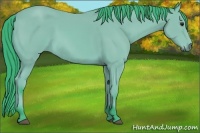 Horse Color:Watercolor Bay 