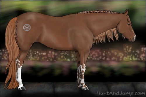 Horse Color:Chestnut and Chestnut
