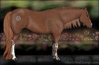Horse Color:Chestnut  and Chestnut 