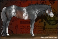 Horse Color:White Spotted Brown 