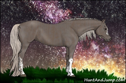 Horse Color:Silver Black and Silver Black