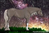 Horse Color:Silver Black and Silver Black