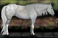 Horse Color:Silver Grullo Chinchilla Ice Brindle