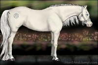 Horse Color:Cremello  and Cremello 