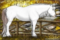 Horse Color:White Spotted Black Splash Tobiano Frame Varnish 