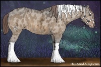 Horse Color:Bay Ice Dun Sabino Tobiano Varnish