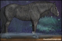 Horse Color:Black Sabino  Brindle