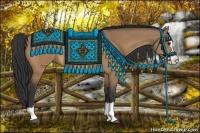 Horse Color:Bay Dun Sabino Splash 