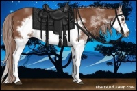 Horse Color:Chestnut Sabino Splash Frame 