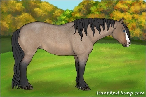 Horse Color:Bay Roan Dun Sabino Splash