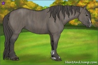Horse Color:Grullo Sabino  Brindle