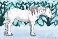 Horse Color:Silver Black Sabino Splash 