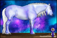 Horse Color:Gray Chestnut Sabino