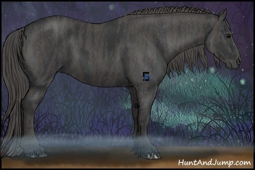 Horse Color:Black Brindle
