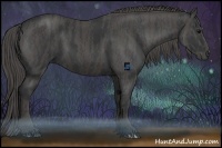 Horse Color:Black Brindle