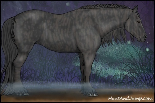 Horse Color:Black  Brindle
