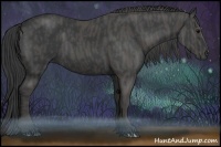 Horse Color:Black  Brindle