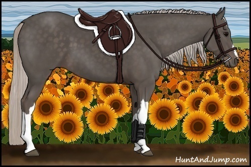 Horse Color:Silver Black 