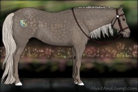 Horse Color:Silver Black 