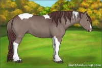 Horse Color:Chocolate Grullo Splash Tobiano