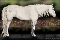 Horse Color:Smoky Creme  and Smoky Creme 