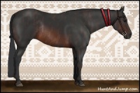 Horse Color:Brown Rabicano Brindle