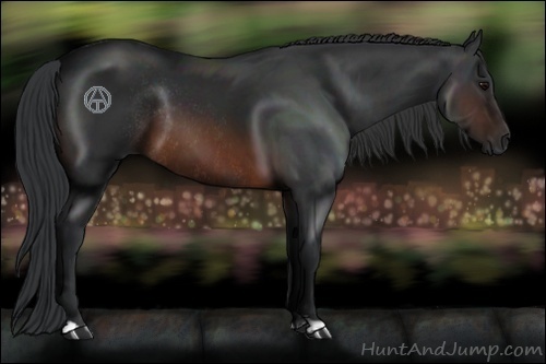 Horse Color:Brown Rabicano and Brown Rabicano