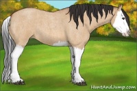 Horse Color:Bay Roan Dun Splash
