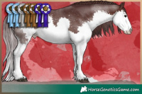 Horse Color:Chocolate Brown Splash