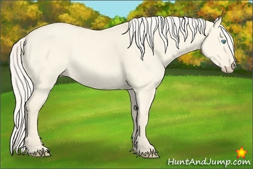 Horse Color:Cremello Dun