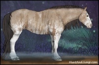 Horse Color:White Spotted Classic Champagne Roan Rabicano  Brindle