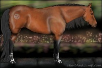 Horse Color:Bay and Bay