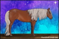 Horse Color:Chocolate Silver Bay 