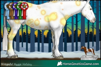 Horse Color:Liver Chestnut Pearl Sabino Splash Varnish