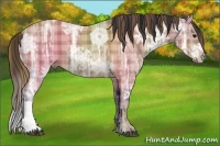 Horse Color:Plaid  Bay Ice 