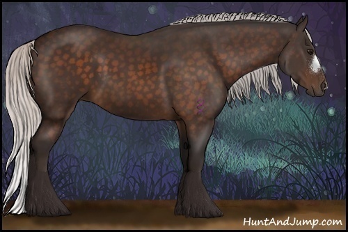 Horse Color:Silver Bay 