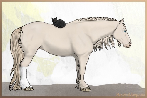 Horse Color:Smoky Creme