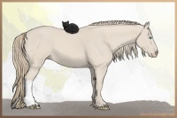 Horse Color:Smoky Creme 