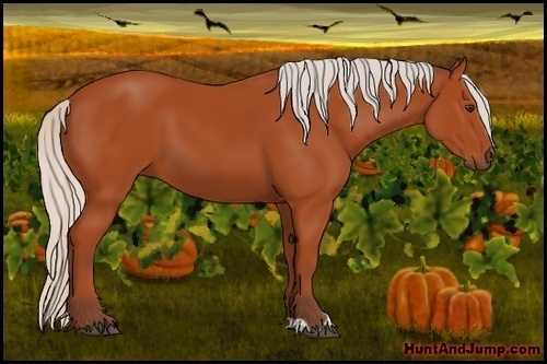 Horse Color:Silver Bay Sabino